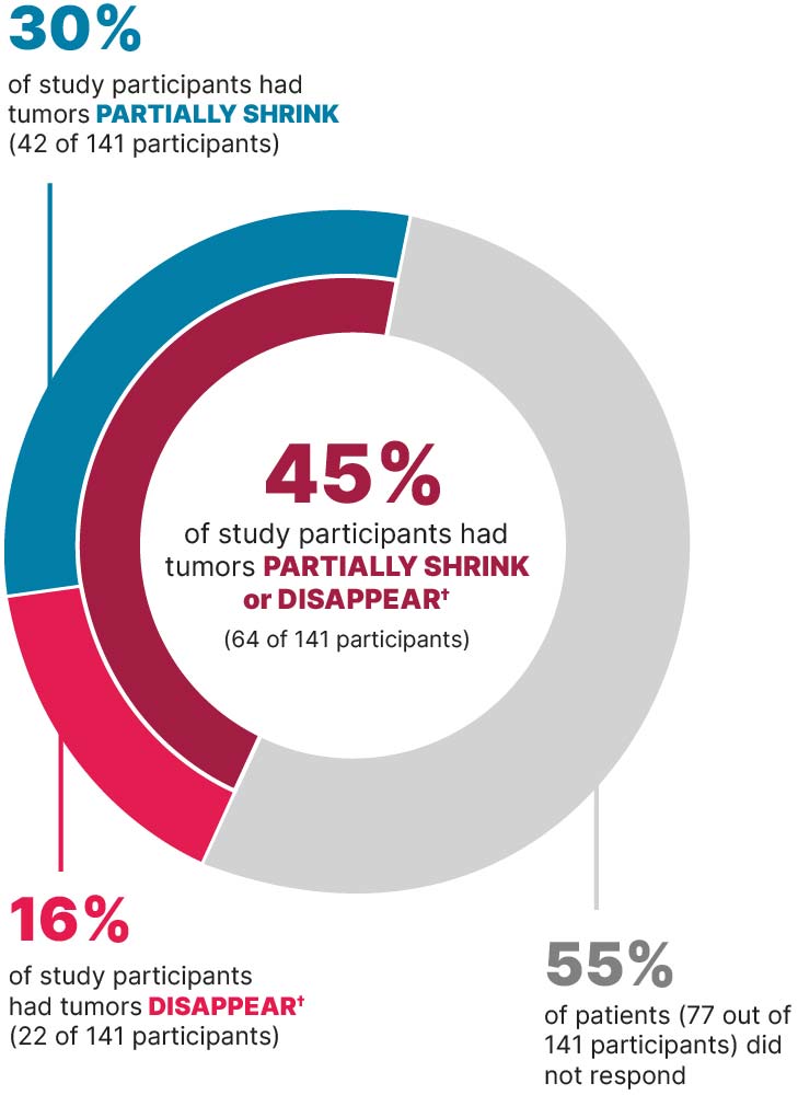 Response rates for JEMPERLI alone for advanced or returned dMMR endometrial cancer